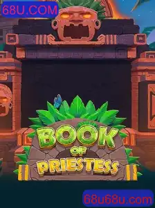 Explorando o Fascinante Mundo de BookOfPriestess